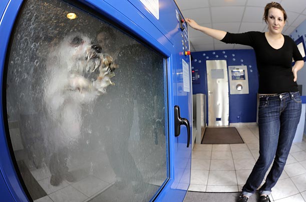 Dog-O-Matic in action
